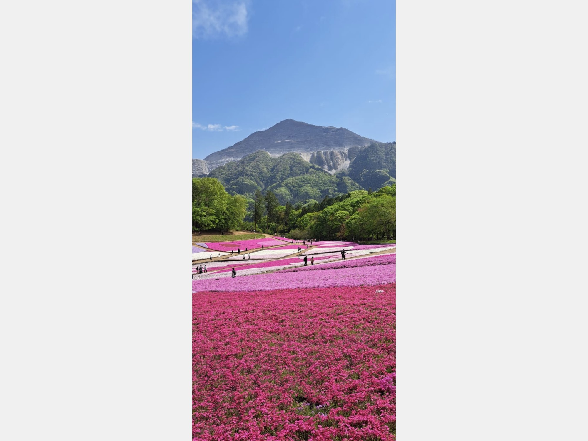 Image from Hitotsubashi University