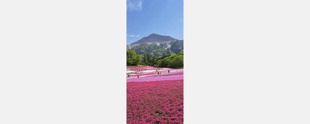 Image from Hitotsubashi University
