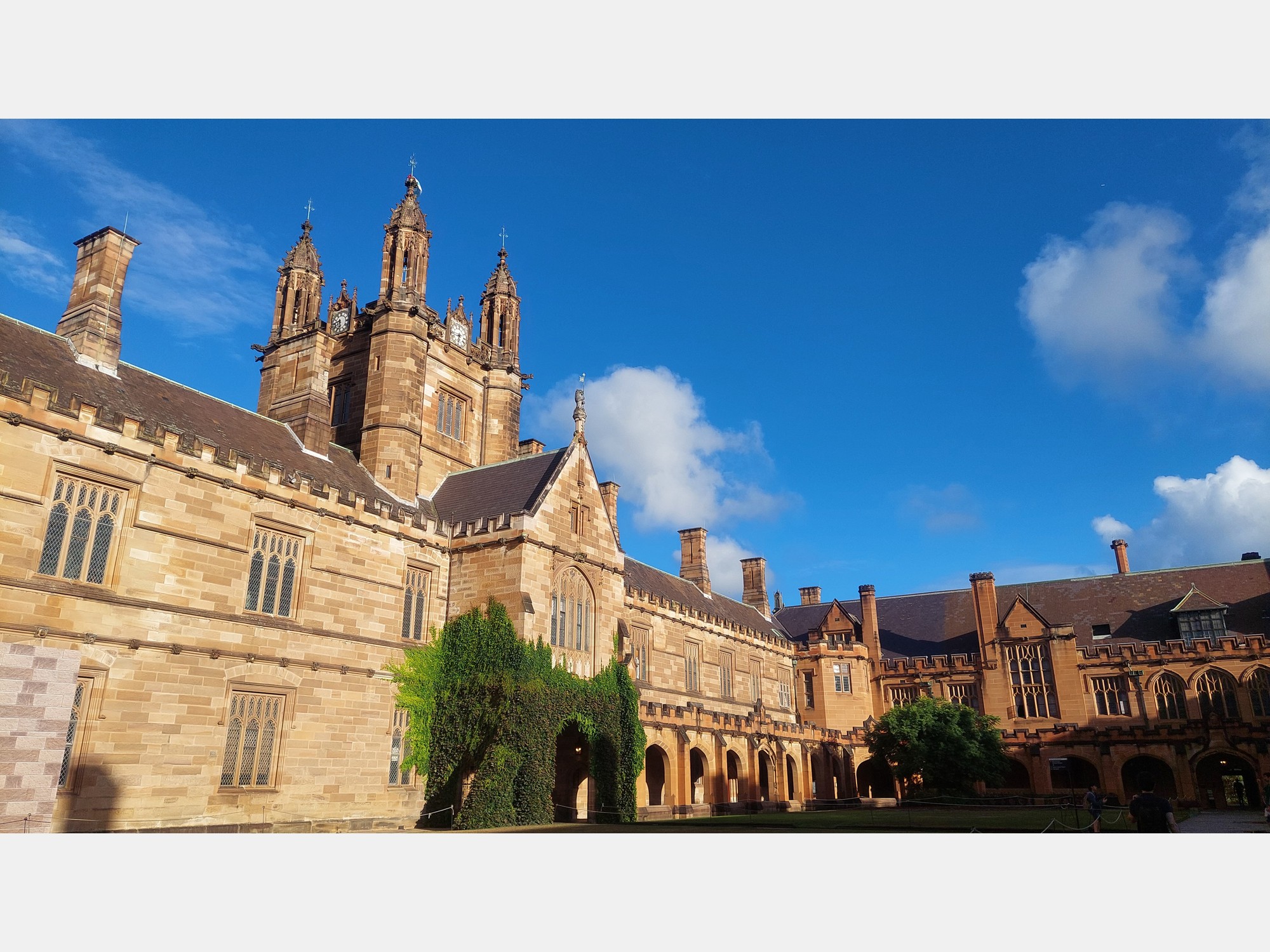 Image from The University of Sydney