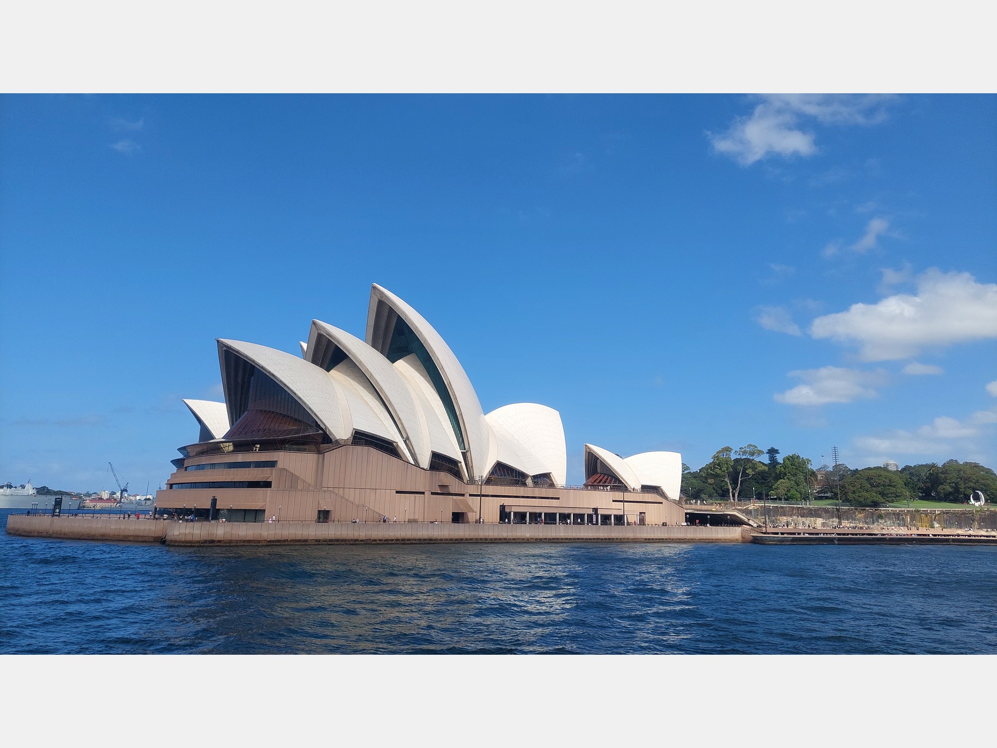 Image from The University of Sydney