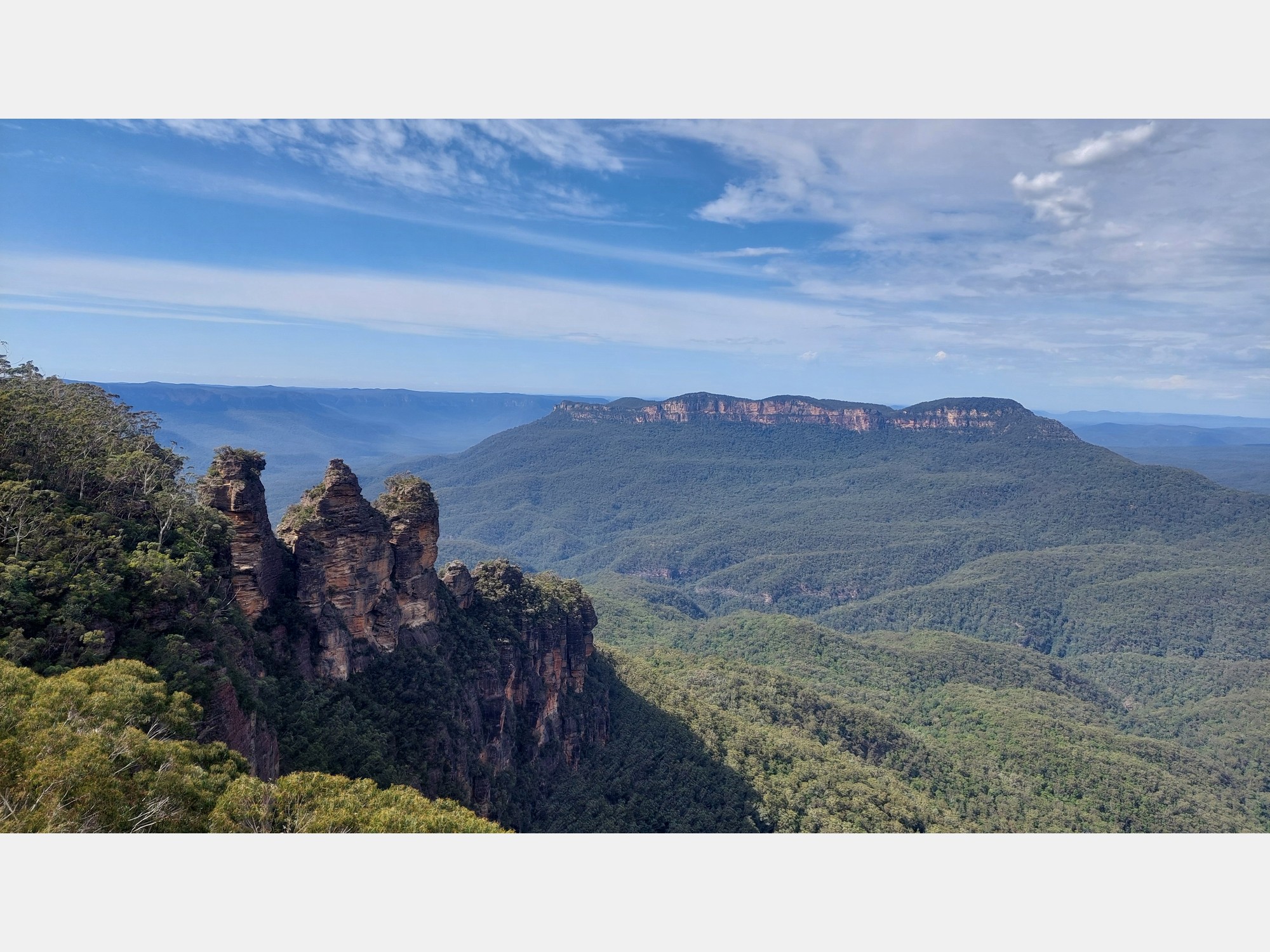 Image from The University of Sydney