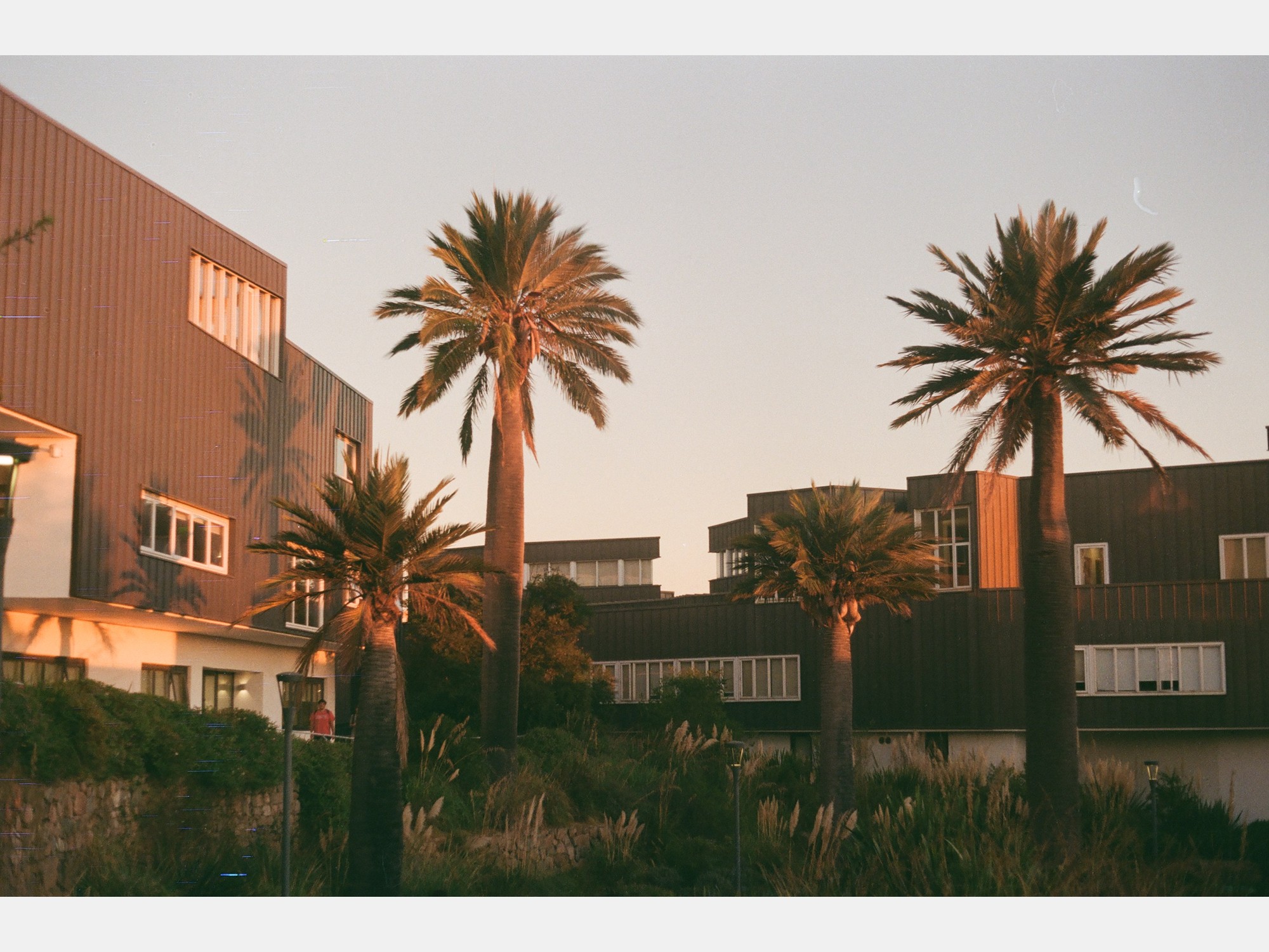 Image from Universidad Adolfo Ibañez