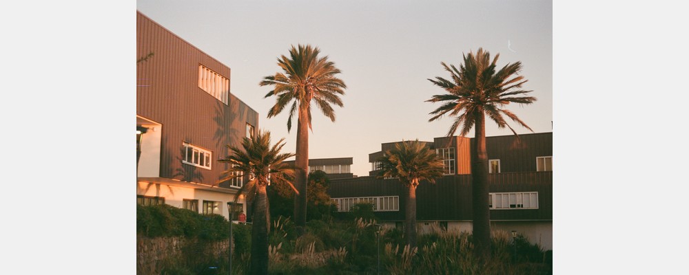 Image from Universidad Adolfo Ibañez