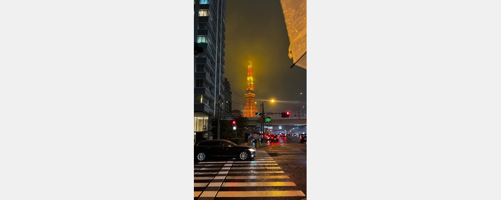 Image from Keio University
