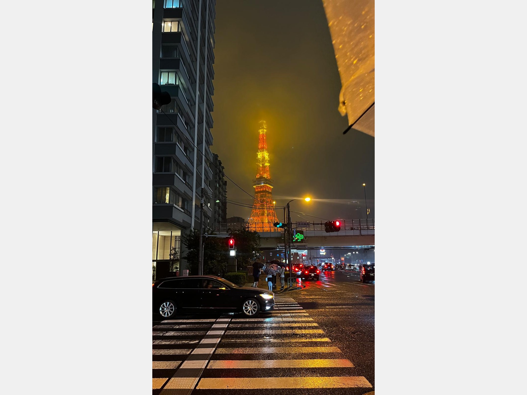 Image from Keio University