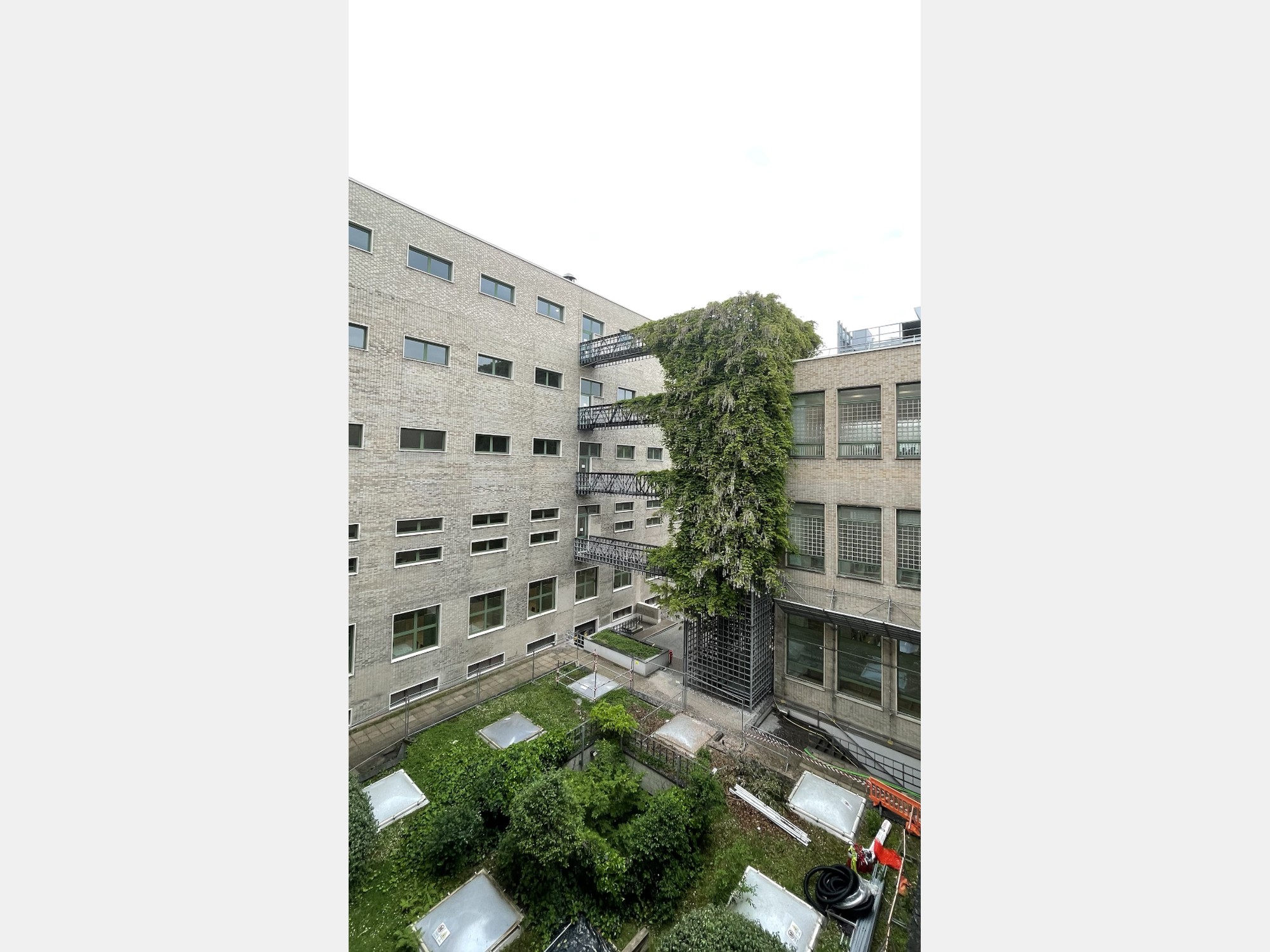Image from Università Commerciale Luigi Bocconi