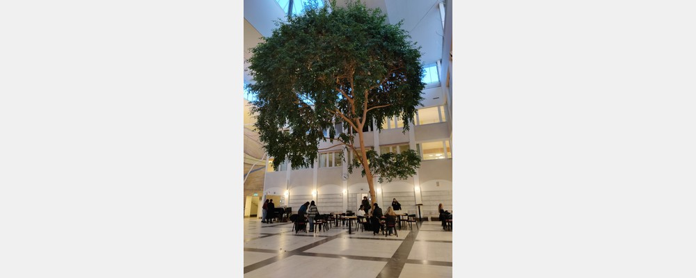 Image from Lund University