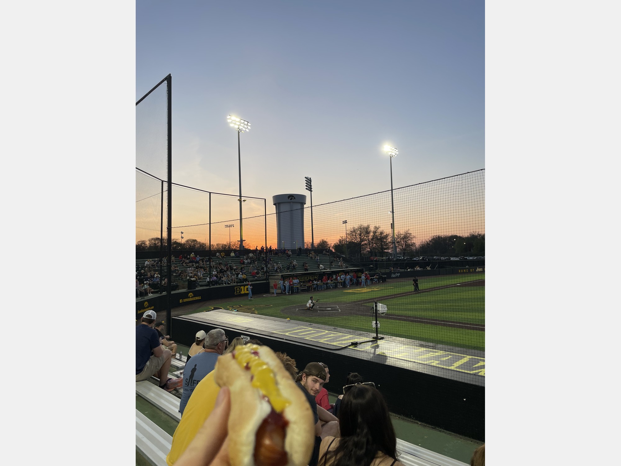 Image from The University of Iowa