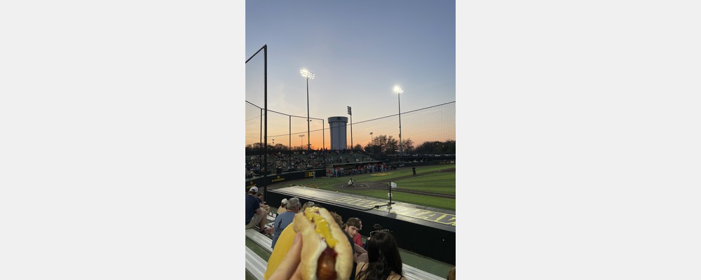 Image from The University of Iowa