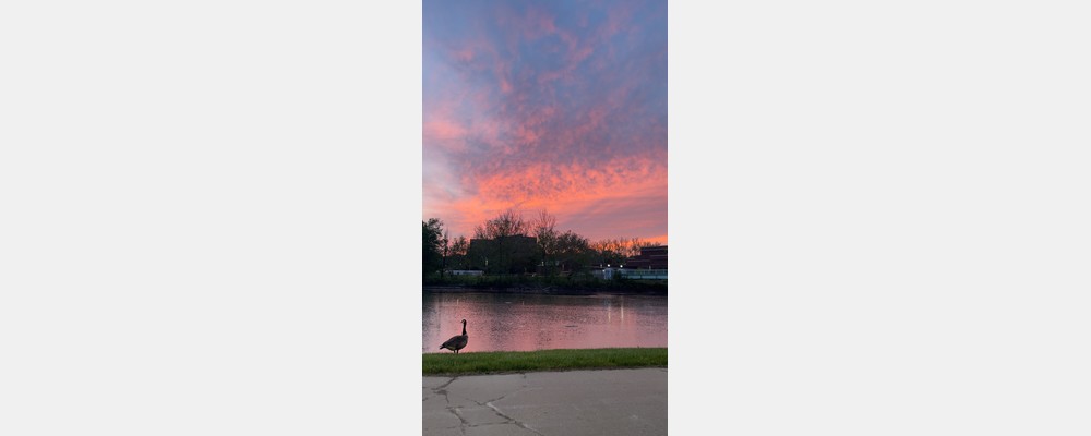 Image from The University of Iowa