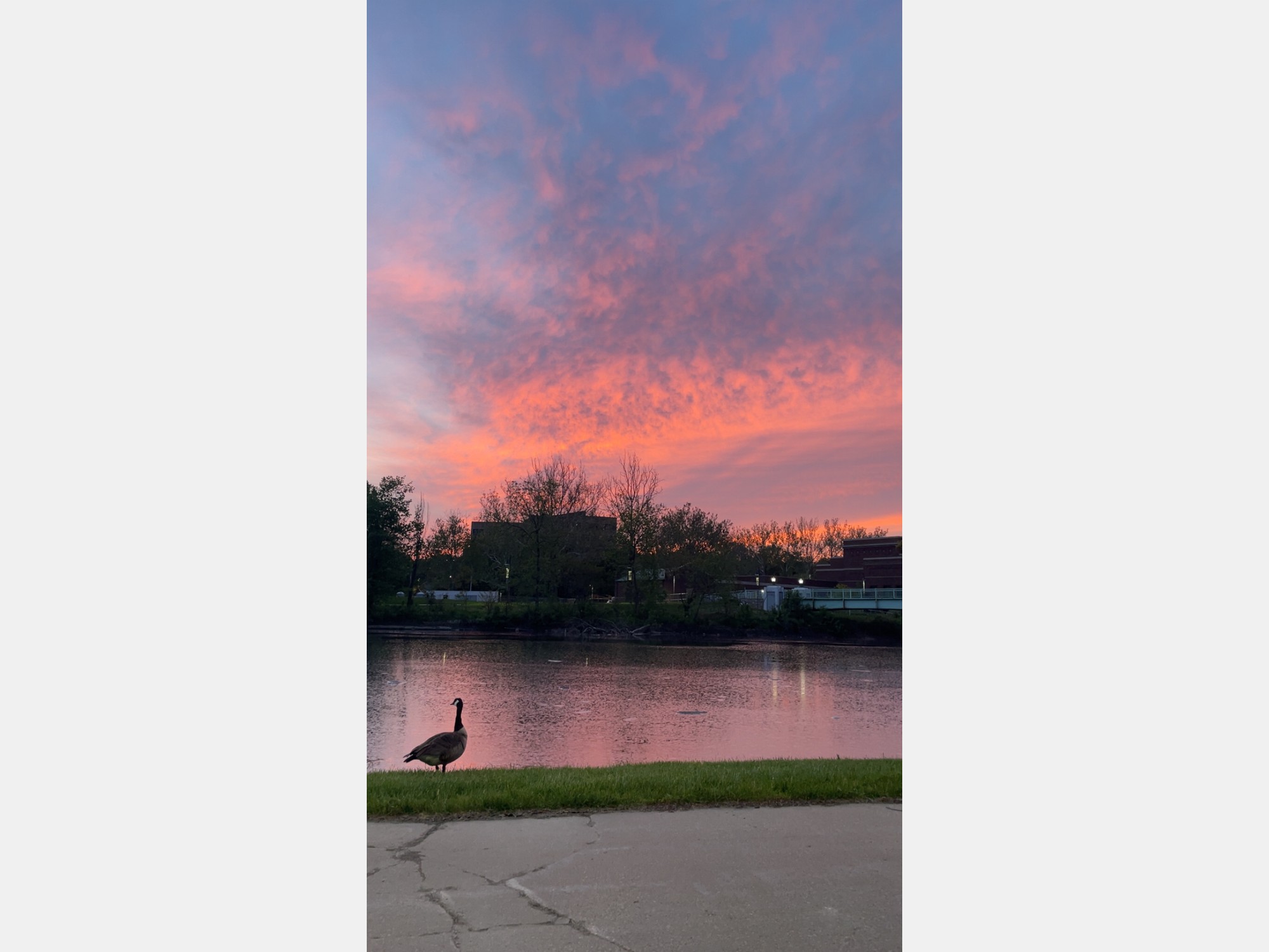 Image from The University of Iowa