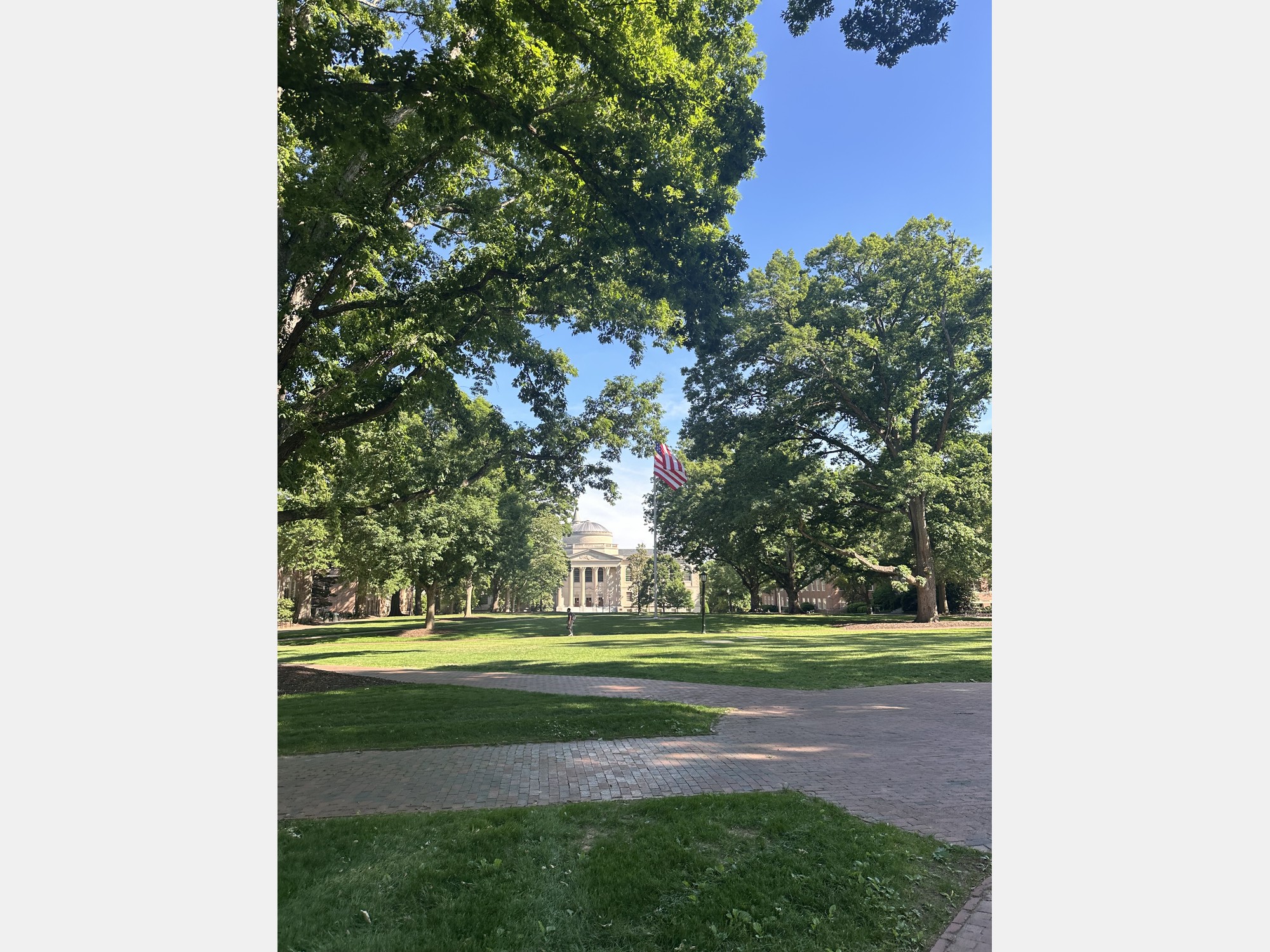 Image from The University of North Carolina at Chapel Hill