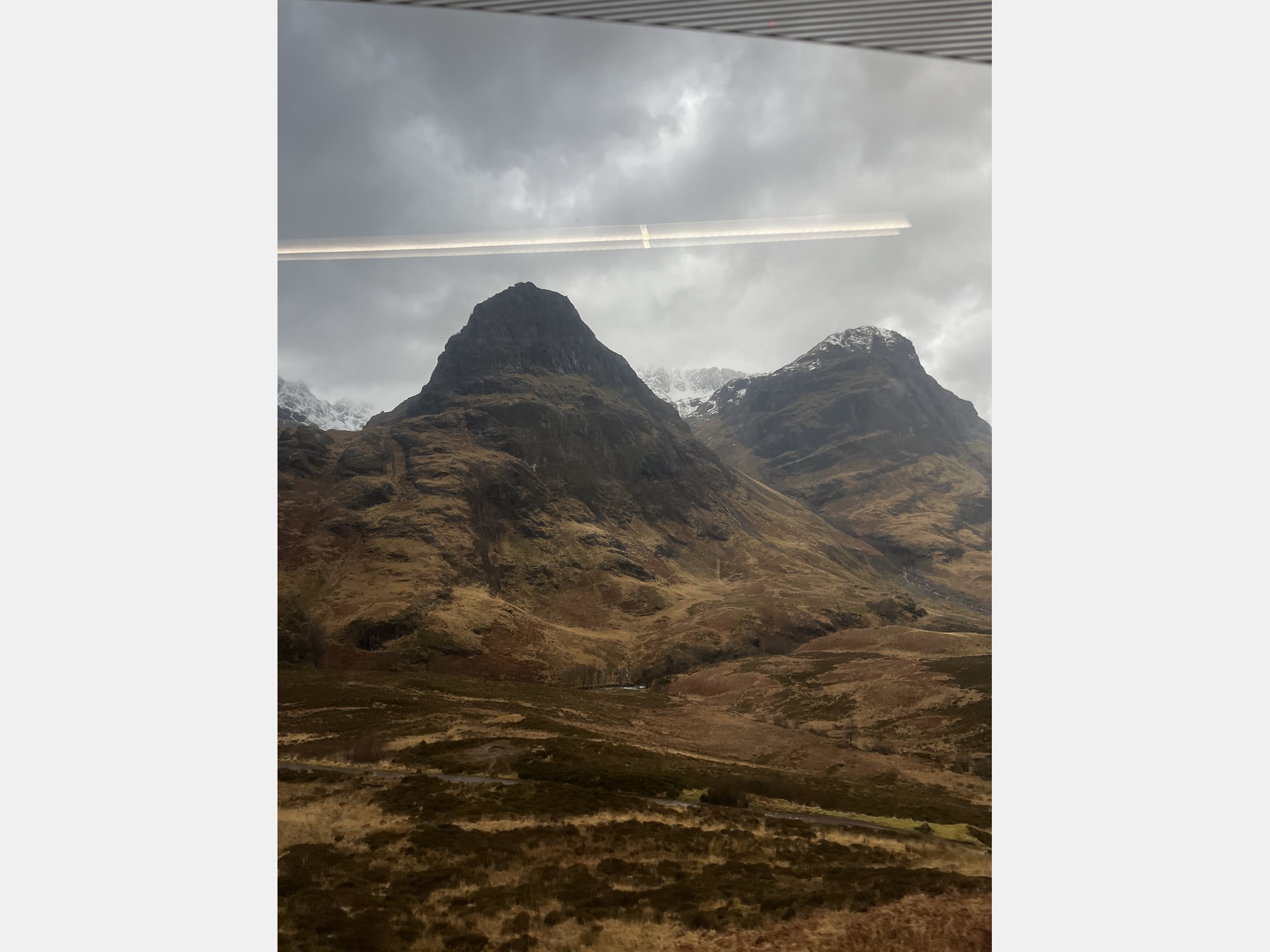 Image from The University of Edinburgh