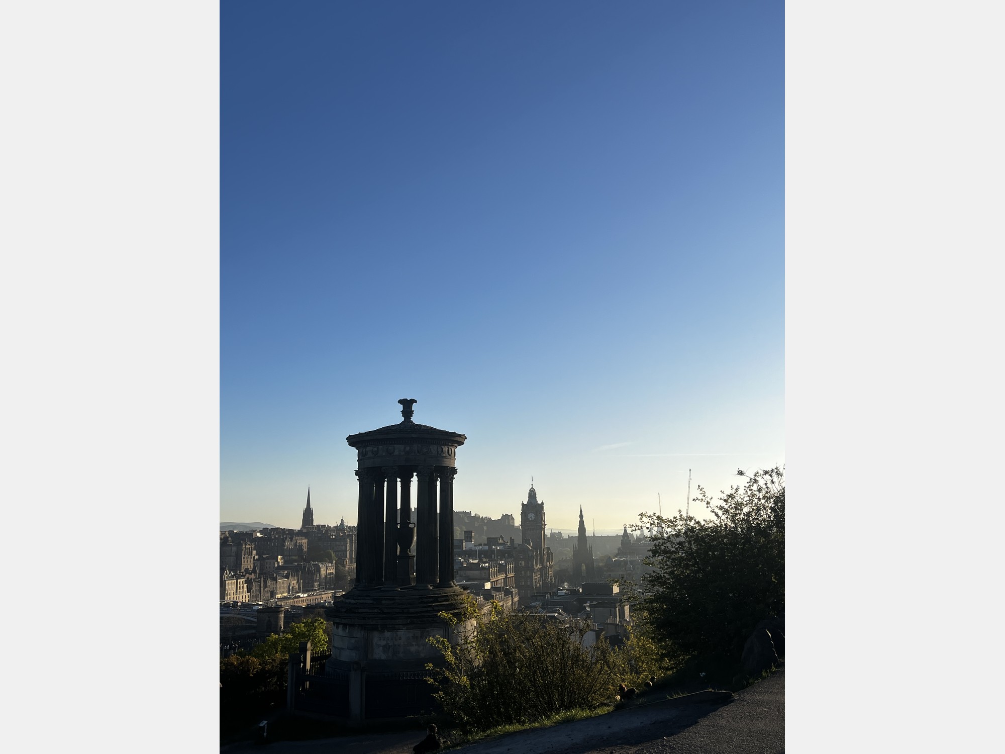 Image from The University of Edinburgh
