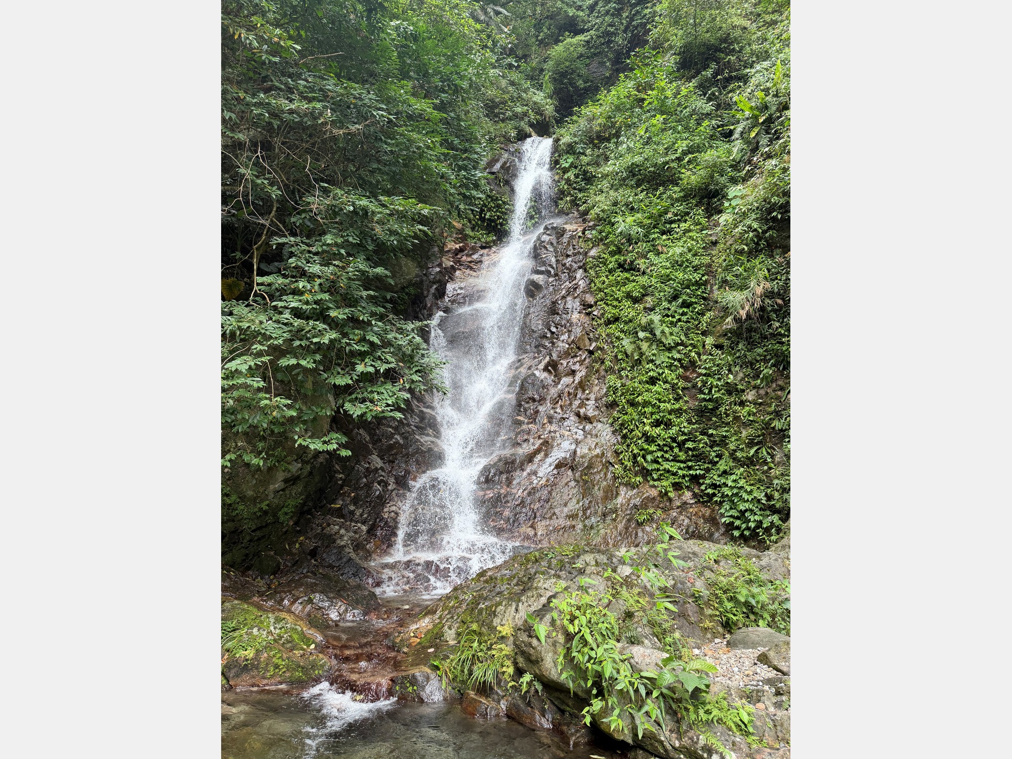 Image from National Taiwan University