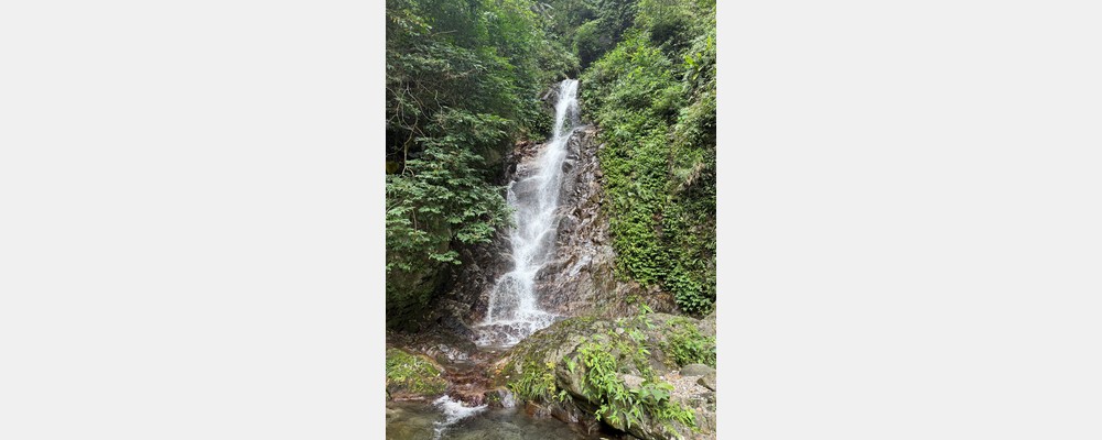 Image from National Taiwan University