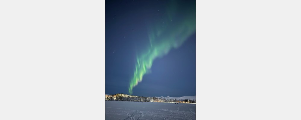 Image from BI Norwegian Business School