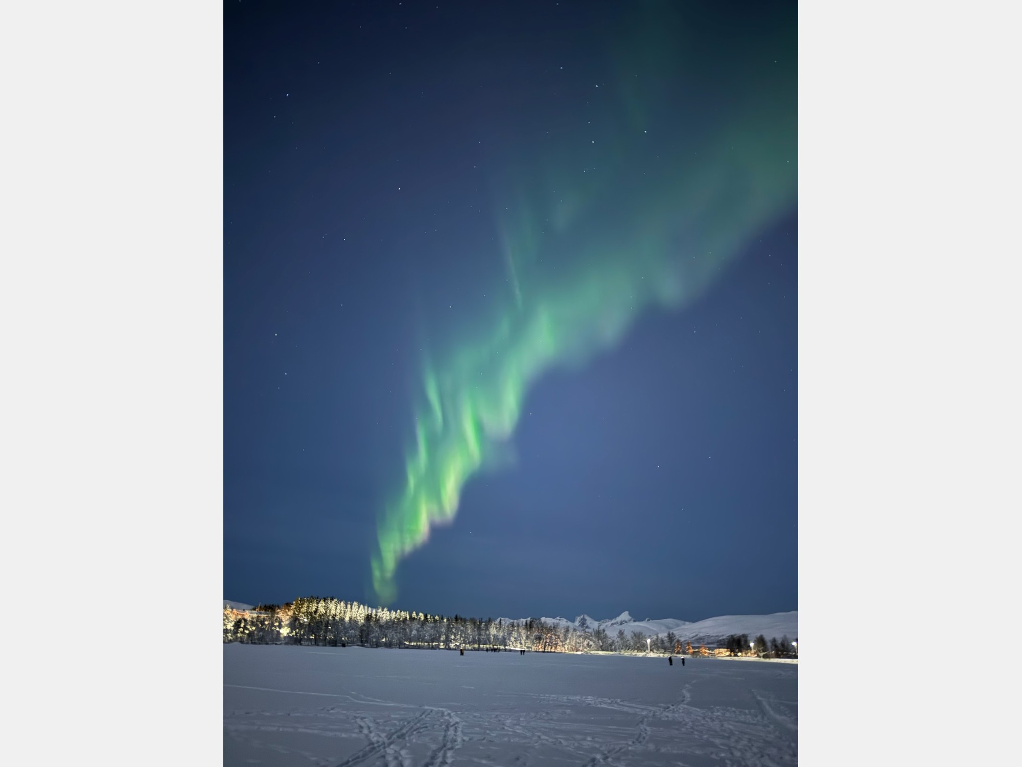 Image from BI Norwegian Business School