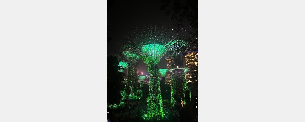 Image from National University of Singapore