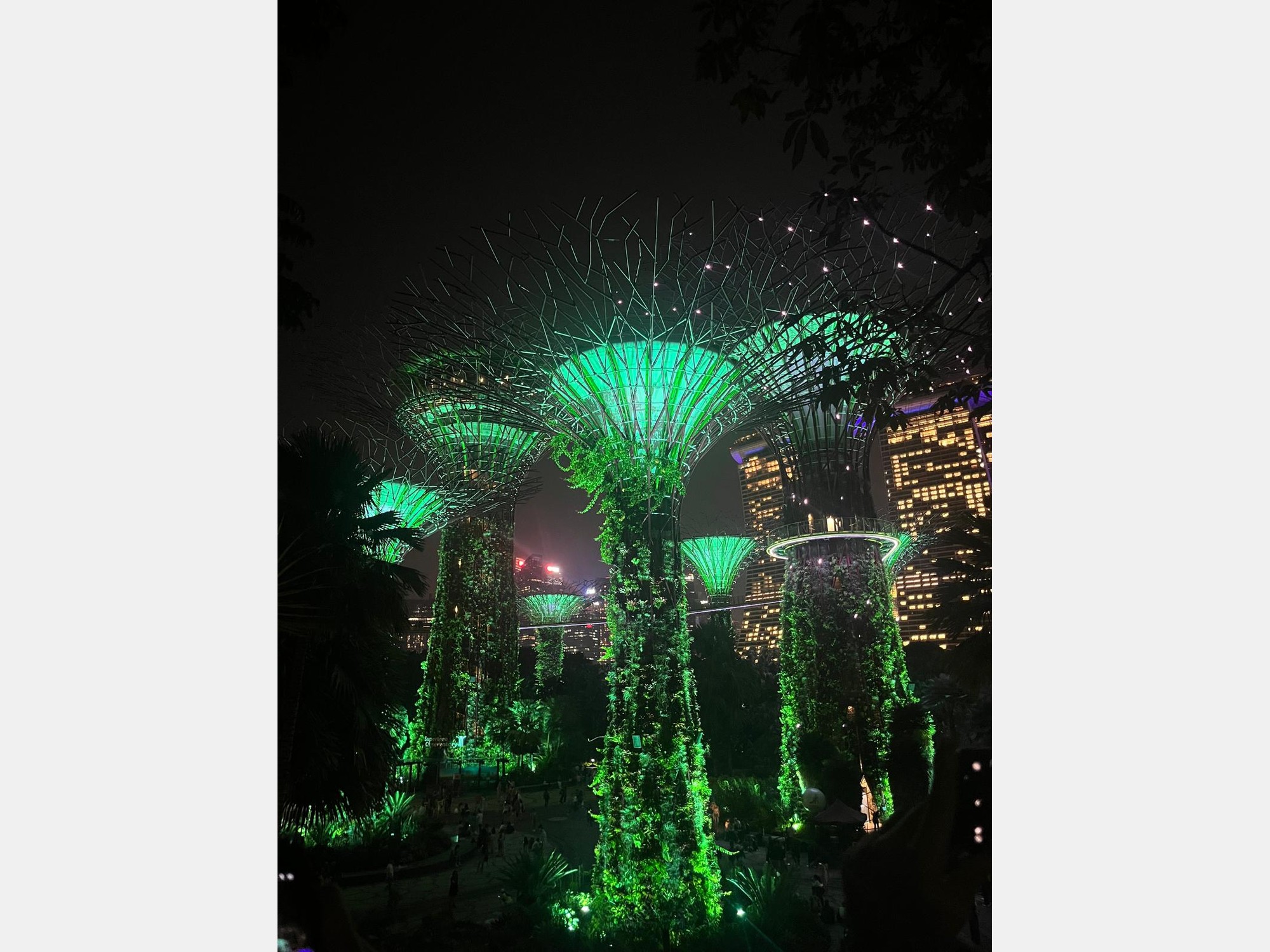 Image from National University of Singapore
