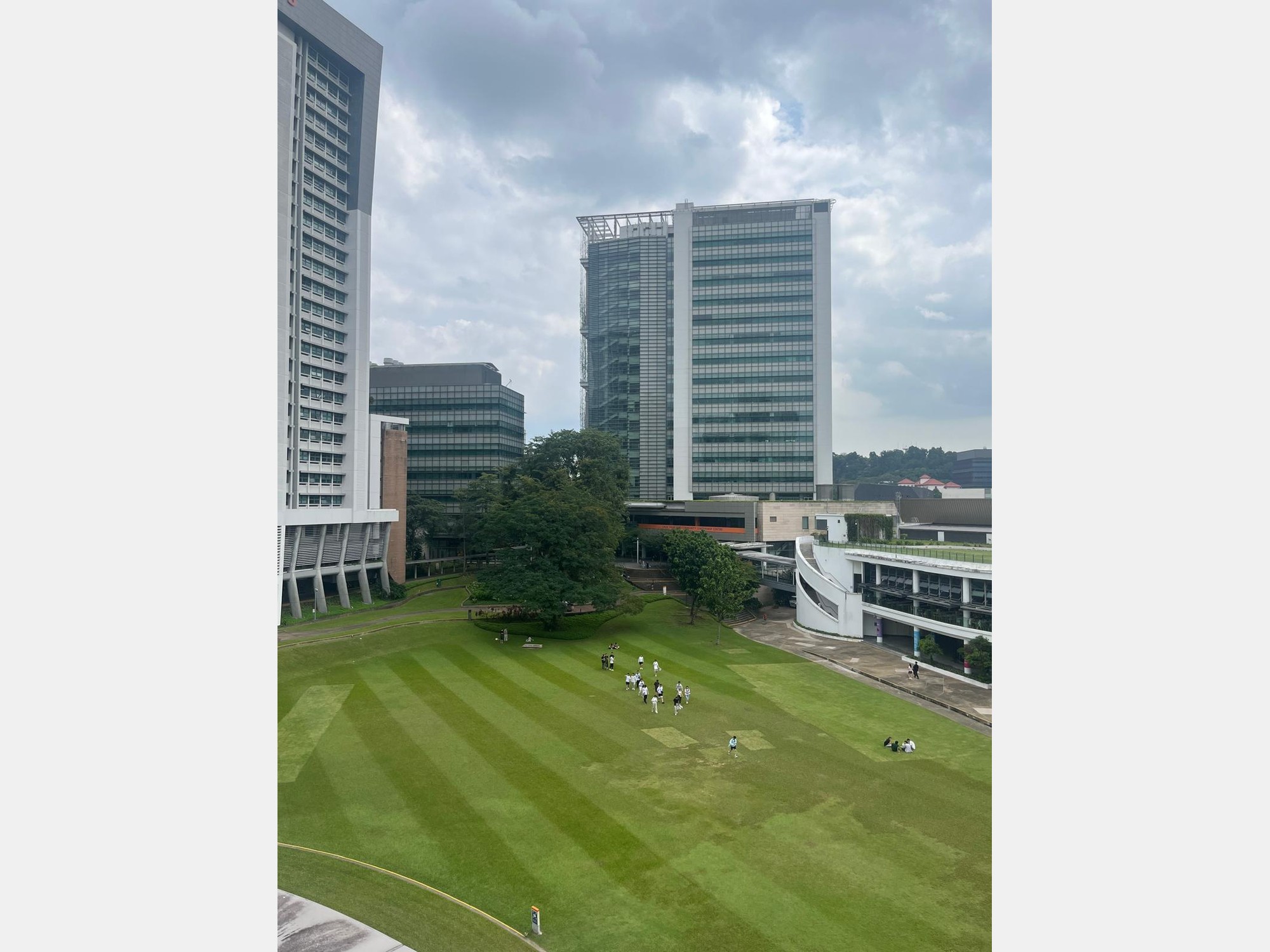 Image from National University of Singapore