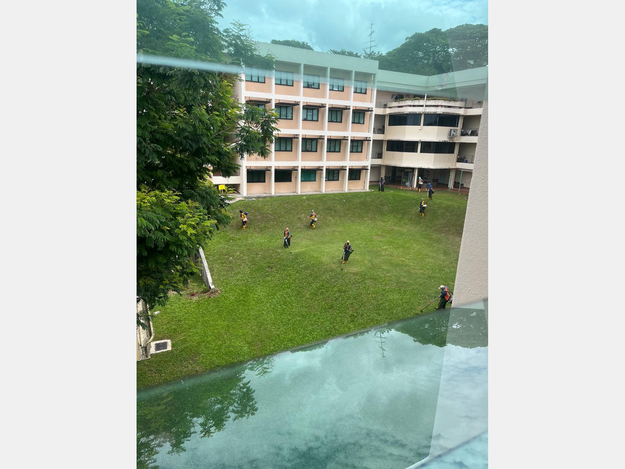 Image from National University of Singapore