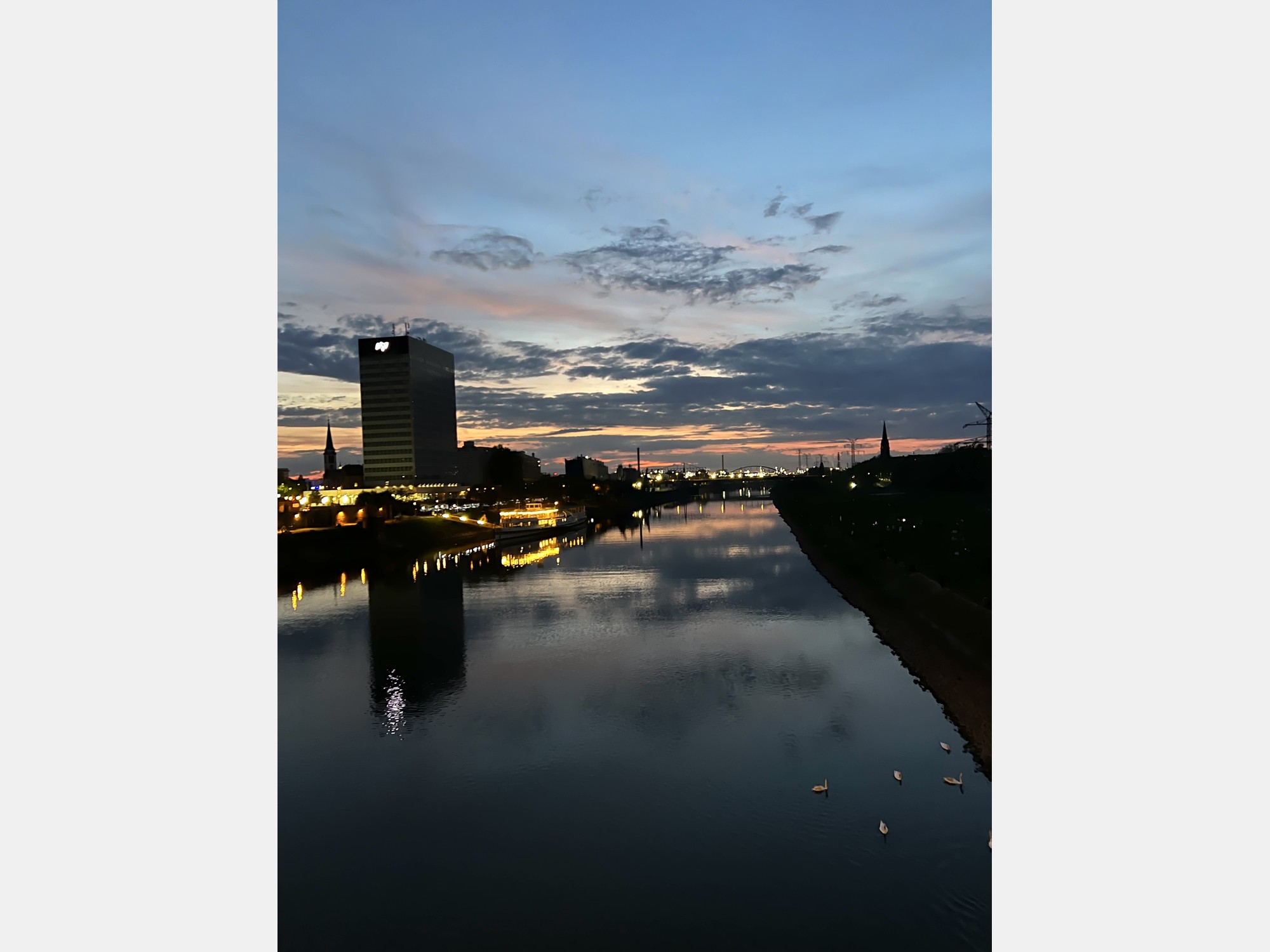 Image from Universität Mannheim
