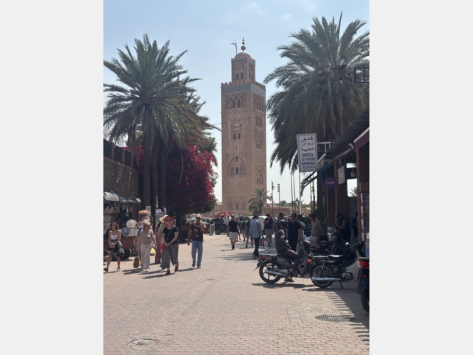 Image from ESCA - Ecole de Management