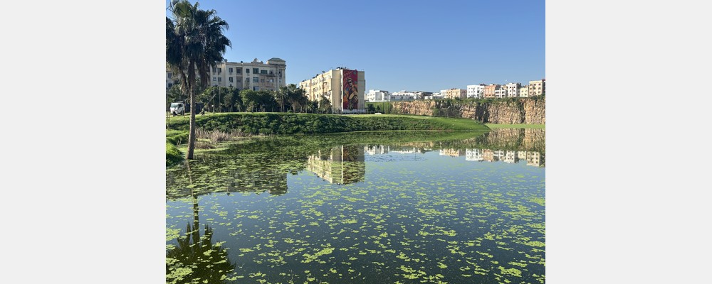 Image from ESCA - Ecole de Management