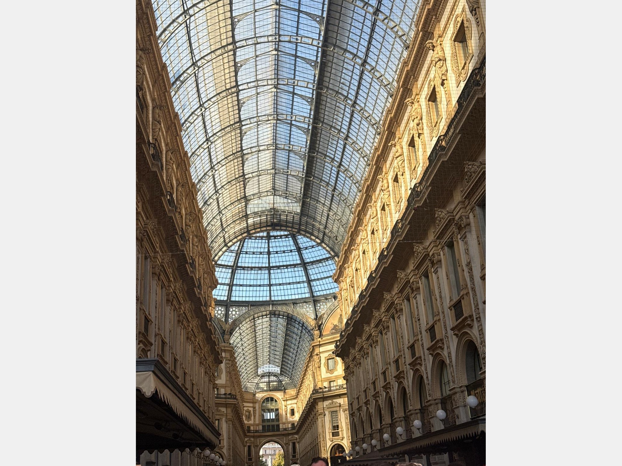 Image from Università Commerciale Luigi Bocconi