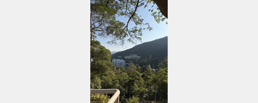 Image from The Chinese University of Hong Kong