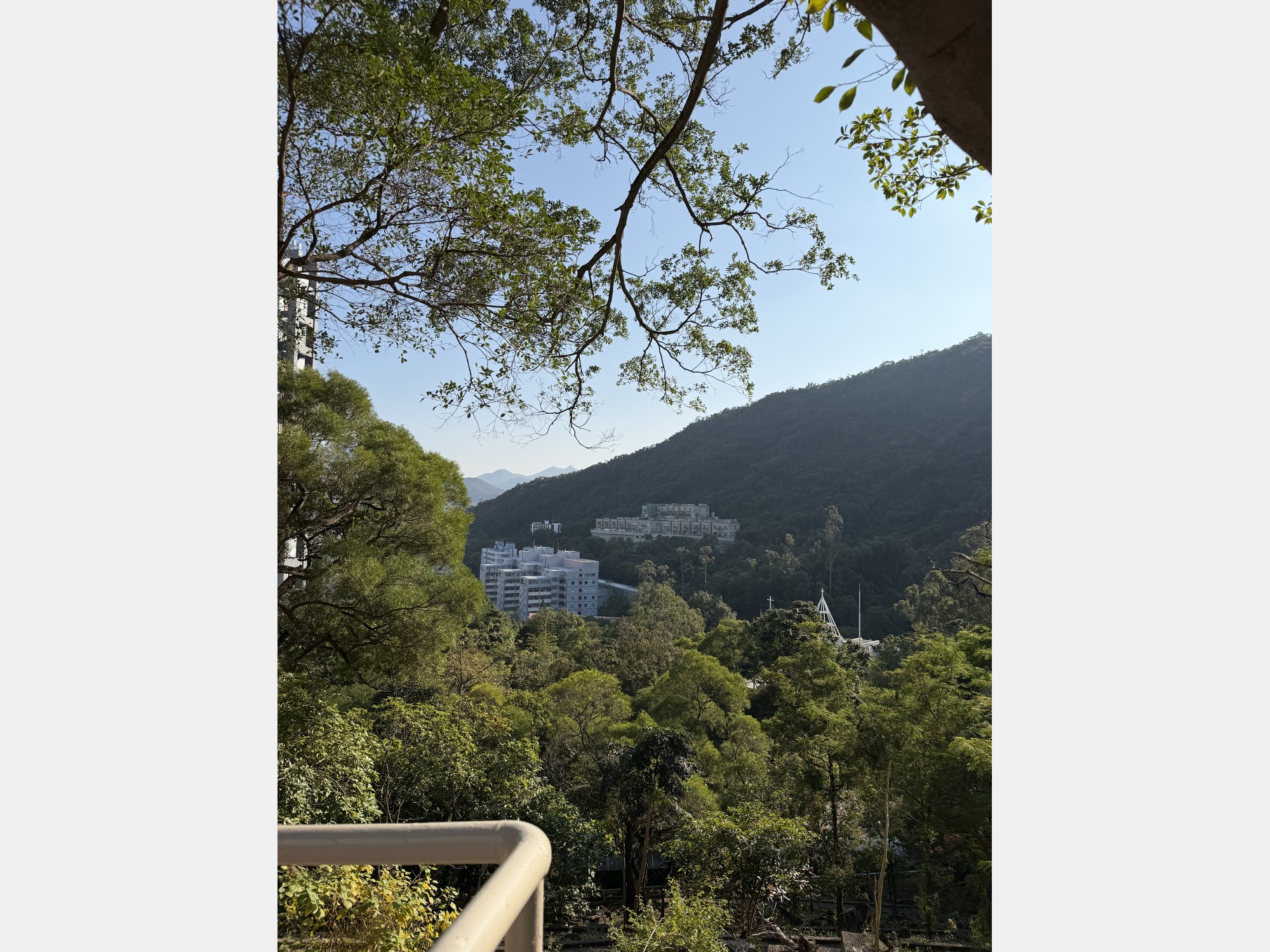 Image from The Chinese University of Hong Kong