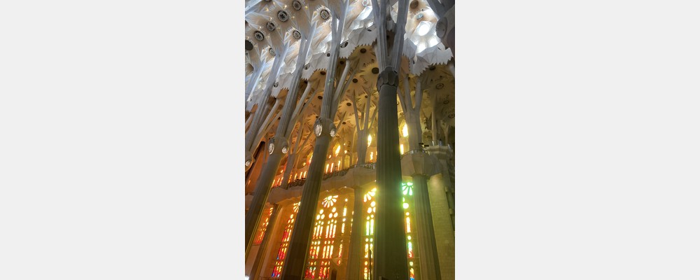 Image from Ramon Llull University