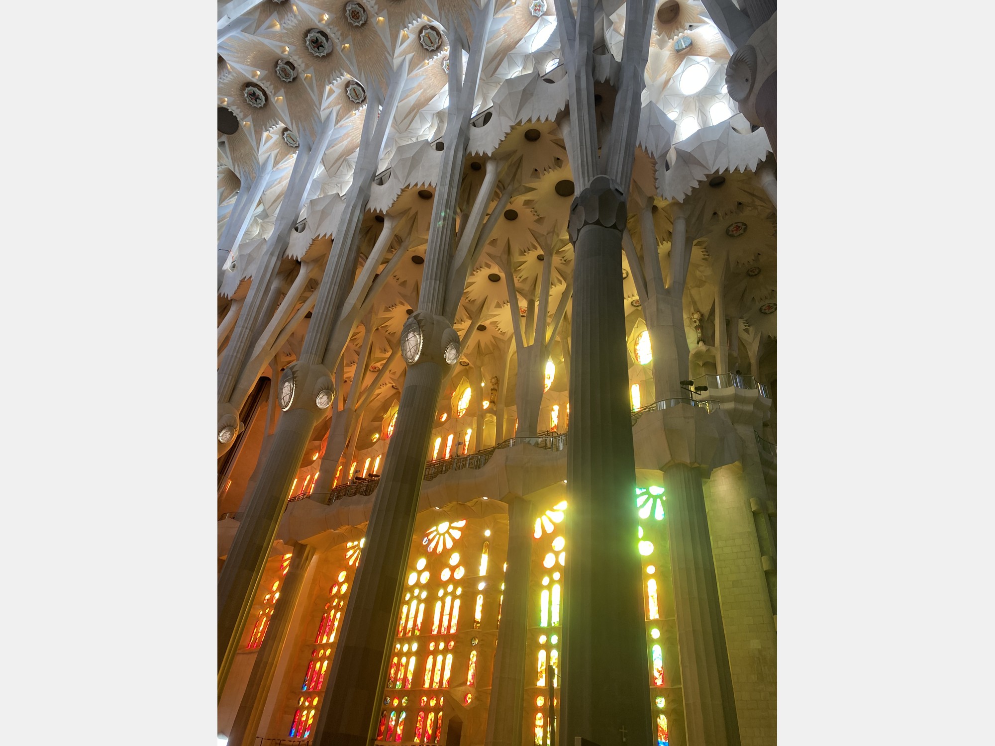 Image from Ramon Llull University