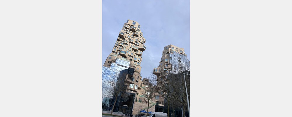 Image from VU University Amsterdam